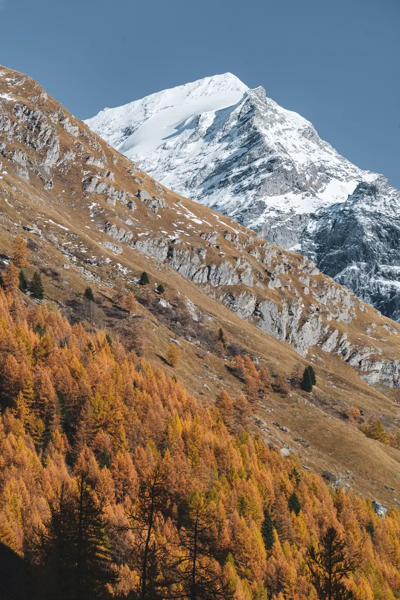 Maxime Bouclier Photographie | 