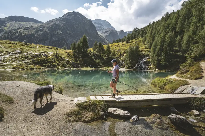 Maxime Bouclier Photographie | Randonnée, trail